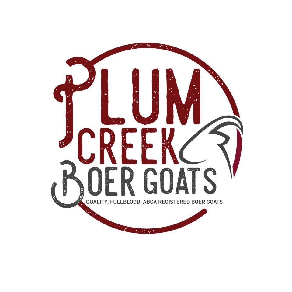 Plum Creek Boer Goats